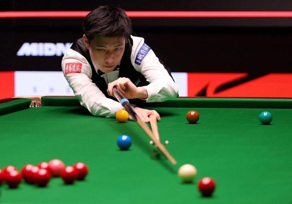 家贝蒂斯 家贝蒂斯